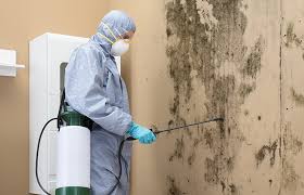  , USA Mold Inspection Pros